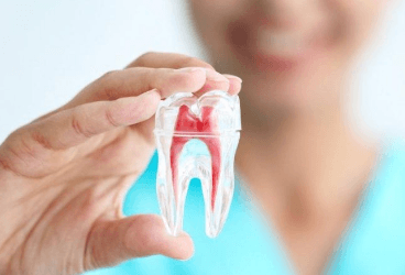 Dişler Neden Çürür