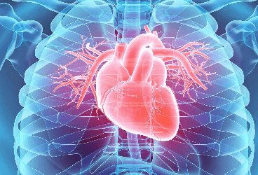 Kalp ve Damar Hastalıkları ve Belirtileri