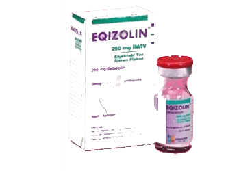 EQIZOLIN- IM/IV 250 MG 1 FLAKON