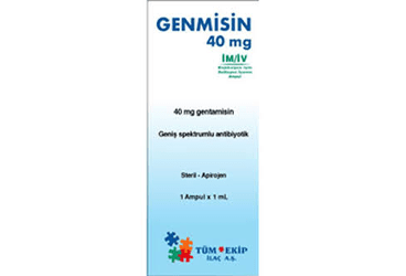 GENMISIN 40 MG 1 AMPUL