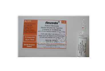 AMZOATE 500MG/5 ML 100 ML ORAL SOLUTION