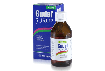 GUDEF SURUP 100 ML