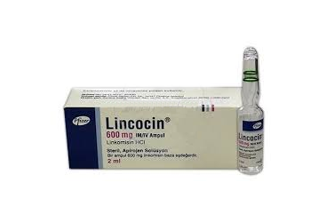 LINCOCIN 600 MG/2 ML IM/IV ENJEKSIYONLUK COZELTI (1 AMPUL)