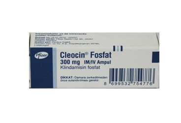 CLEOCIN FOSFAT 300 MG IM/IV 1 AMPUL