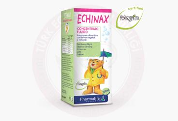 PHARMALIFE RESEARCH ECHINAX KARA MURVER, EKINEZYA VE MINERAL ICEREN SIVI TAKVIYE EDICI GIDA  200 ml şişe