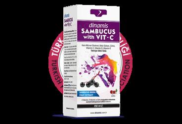 DINAMIS SAMBUCUS WITH VIT-C VISNE AROMALI SIVI TAKVIYE EDICI GIDA  250 ml şişe