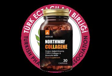NORTHWAY COLLAGENE TAKVIYE EDICI GIDA  30 kapsül