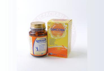 GINCOEN PANAX GINSENG, KOENZIM Q10, MULTIVITAMIN, MULTIMINERAL TAKVIYE EDICI GIDA  30 kapsül