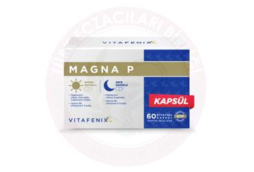 MAGNA P TAKVIYE EDICI GIDA BITKISEL KAPSUL  60 kapsül