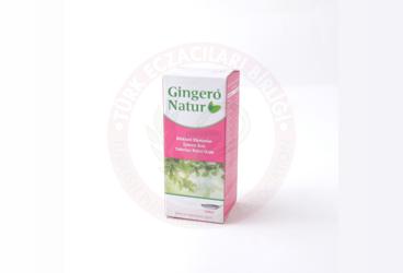 GINGERO NATUR BITKISEL EKSTRELER ICEREN SIVI TAKVIYE EDICI GIDA  100 ml şişe