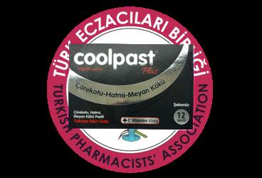 COOLPAST COREKOTU, HATMI, MEYAN KOKU ICEREN PASTIL  16 adet