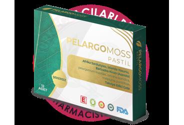 PELARGOMOSS PASTIL  12 adet
