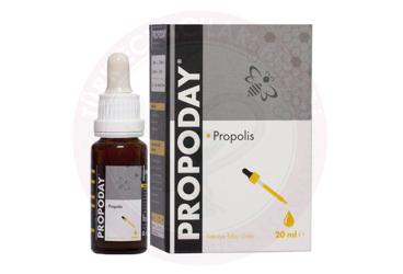 PROPODAY PROPOLIS ICEREN SIVI TAKVIYE EDICI GIDA  20 ml şişe