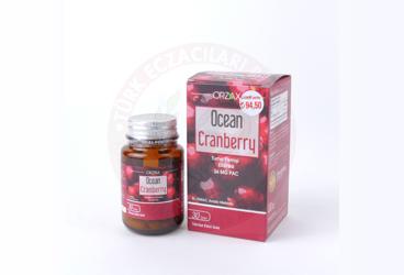 OCEAN CRANBERRY TAKVIYE EDICI GIDA  30 tablet