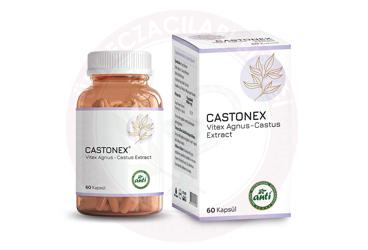 CASTONEX TAKVIYE EDICI GIDA  60 kapsül