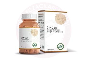 ANTI GINGER ICEREN TAKVIYE EDICI GIDA  60 kapsül