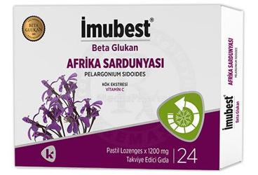 IMUBEST BETA GLUKAN AFRIKA SARDUNYASI PASTIL  24 pastil