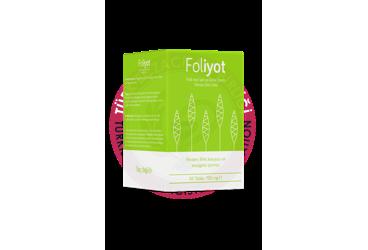FOLIYOT TABLET FOLIK ASIT, IYOT VE DEMIR ICEREN TAKVIYE EDICI GIDA 750 mg 60 tablet