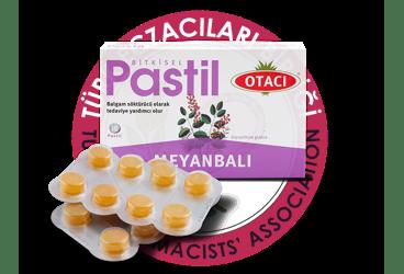OTACI MEYANBALI PASTIL  16 pastil