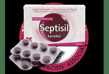 SEPTISIL KARADUT PASTIL  16 pastil