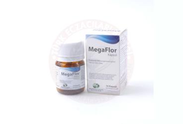 MEGAFLOR KAPSUL  10 kapsül