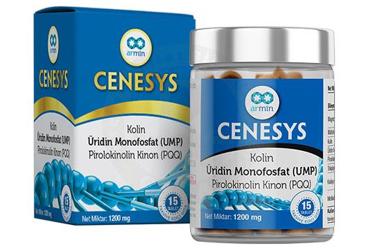 CENESYS KOLIN, UMP, PQQ ICEREN TAKVIYE EDICI GIDA  15 tablet