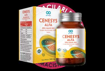 CENESYS ALFA ALFA LIPOIK ASIT, URIDIN MONOFOSFAT, KOLIN ICEREN TAKVIYE EDICI GIDA  60 tablet