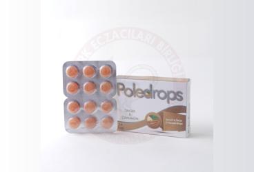 POLEDROPS ZENCEFIL & TARCIN PASTIL  24 pastil