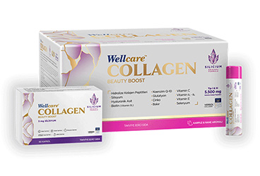 WELLCARE COLLAGEN BEAUTY BOOST KARPUZ VE NANE AROMALI TAKVIYE EDICI GIDA 5500 mg 30 flakon