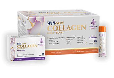 WELLCARE COLLAGEN BEAUTY BOOST FRENK UZUMU VE PORTAKAL AROMALI TAKVIYE EDICI GIDA 5500 mg 30 flakon