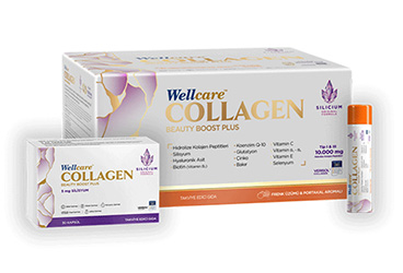 WELLCARE COLLAGEN BEAUTY BOOST PLUS FRENK UZUMU VE PORTAKAL AROMALI TAKVIYE EDICI GIDA 10000 mg 30 flakon
