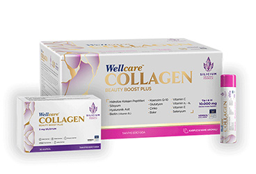WELLCARE COLLAGEN BEAUTY BOOST PLUS KARPUZ VE NANE AROMALI TAKVIYE EDICI GIDA 10000 mg 30 flakon