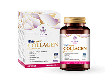 WELLCARE COLLAGEN TAKVIYE EDICI GIDA  60 tablet
