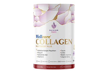 WELLCARE COLLAGEN MULTI BOOST PLUS NAR AROMALI TAKVIYE EDICI GIDA 10000 mg 345 g toz