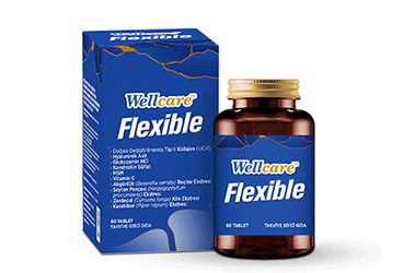 WELLCARE FLEXIBLE TAKVIYE EDICI GIDA  60 tablet