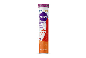 WELLCARE IMMUNE EFERVESAN TABLET  15 tablet