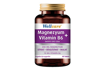 WELLCARE MAGNEZYUM+VITAMIN B6 ICEREN TAKVIYE EDICI GIDA  60 tablet