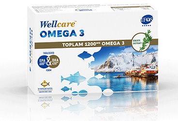 WELLCARE OMEGA 3 KAPSUL  30 kapsül
