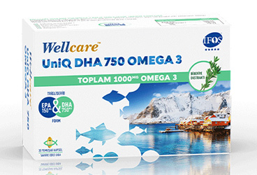 WELLCARE OMEGA 3 UNIQ DHA 750 KAPSUL  30 kapsül