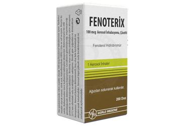 FENOTERIX 100 MCG AEROSOL INHALASYONU, COZELTI (1 TUP)