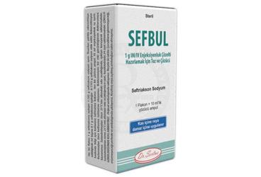SEFBUL 1 G IM/IV ENJEKSIYONLUK COZELTIHAZIRLAMAK ICIN TOZ VE COZUCU (1 ADET)