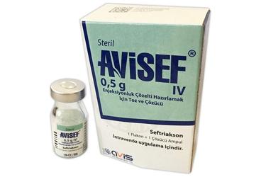 AVISEF 0,5 G IV ENJEKSIYONLUK COZELTI HAZIRLAMAK ICIN TOZ VE COZUCU (1 FLAKON+ 1 COZUCU AMPUL)