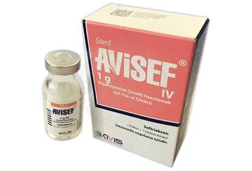 AVISEF 1 G IV ENJEKSIYONLUK COZELTI HAZIRLAMAK ICIN TOZ VE COZUCU (1 FLAKON+ 1 COZUCU AMPUL)