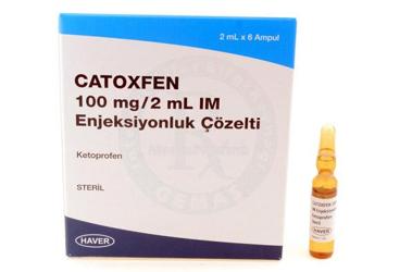 CATOXFEN 100 MG / 2 ML IM ENJEKSIYONLUK COZELTI 6 AMPUL
