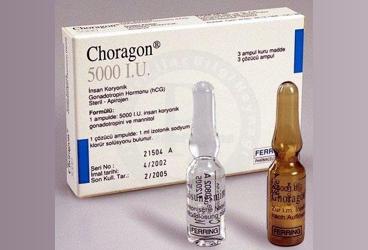 CHORAGON 5000 IU 3 AMPUL