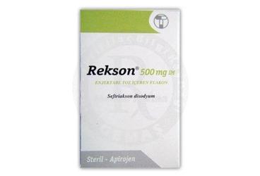 REKSON 500 MG IM ENJEKTABL TOZ ICEREN 1 FLAKON