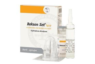 REKSON SET 1 G IV ENJEKTABL TOZ ICEREN 1 FLAKON