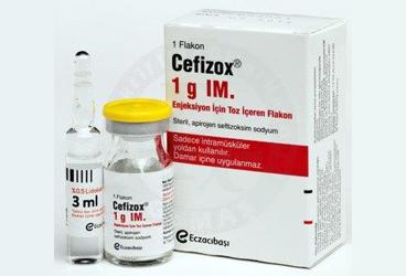 CEFIZOX IM LIDOKAINLI 1000 MG 1 FLAKON