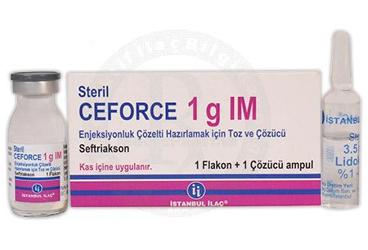 CEFORCE 1G IM ENJEKSIYONLUK COZLETI HAZIRLAMAK ICIN TOZ VE COZUCU