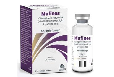 ANIFUNGIN 100 MG I.V. INFUZYONLUK COZELTI HAZIRLAMAK ICIN LIYOFILIZE TOZ